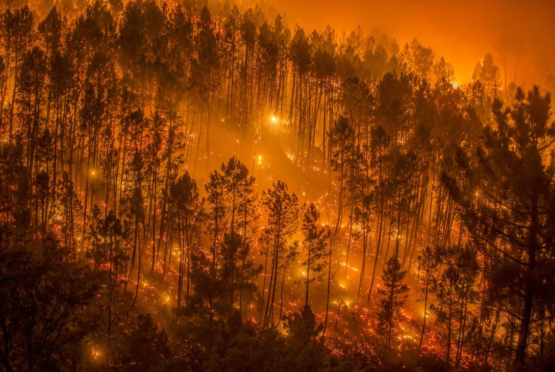Stop incendios