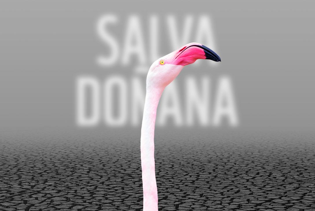 Salva Doñana